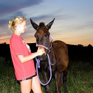 Meet your Posher, Danika